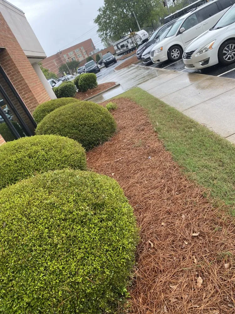 Professional landscape design in Winder, GA by Gerries Landscaping Home Services