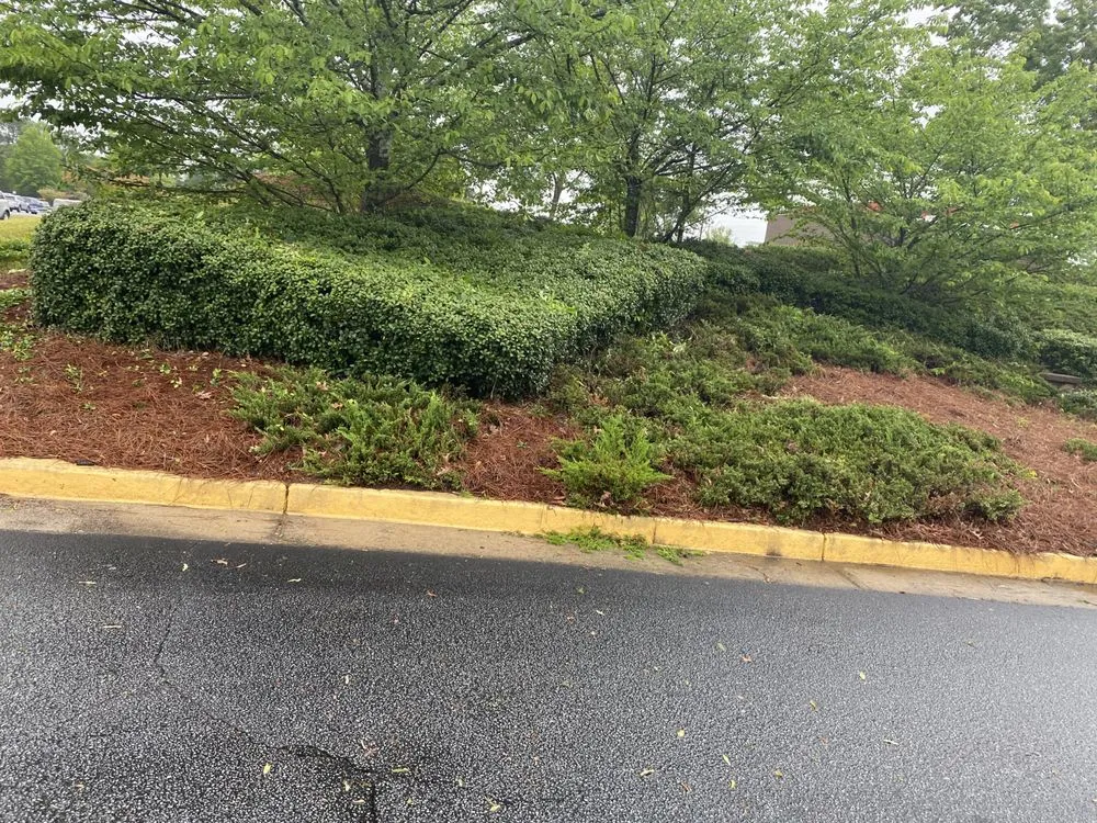 Trusted outdoor landscaping in Winder, GA - Gerries Landscaping Home Services