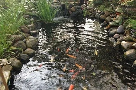 Affordable yard maintenance for homes across Lisle, IL - Gerry's Landscaping & Brick Pavers