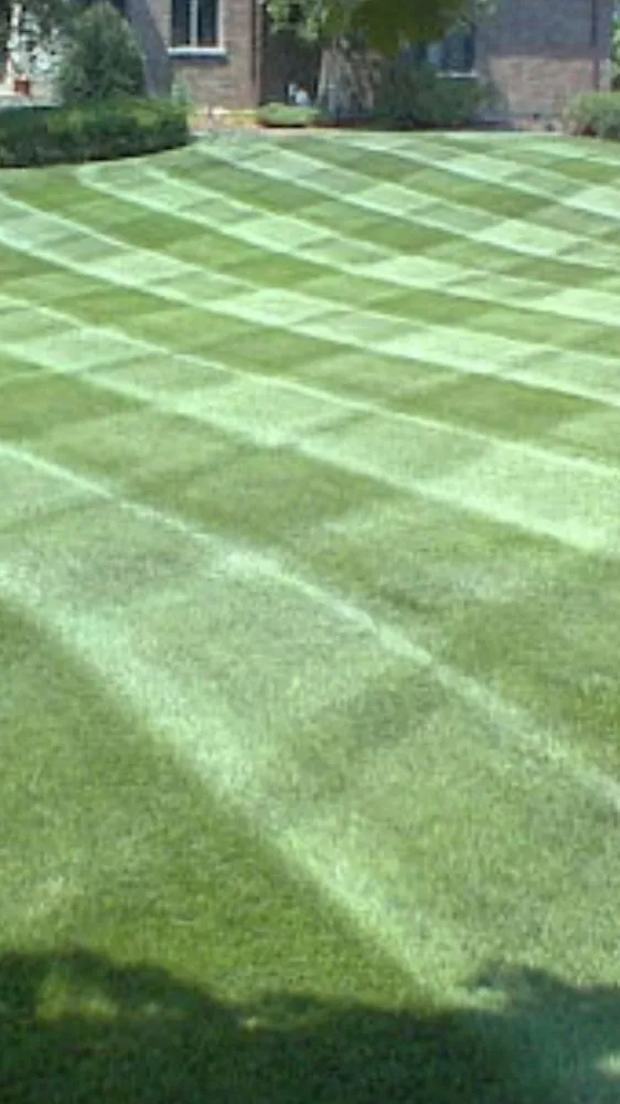 Local yard maintenance experts serving Round Lake Beach, IL - Gerrys Landscaping and Snow Removal