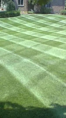 Gerry's Lawn Maintenance