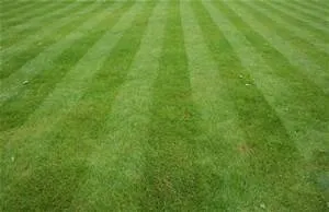 Reliable landscape design for homes across Andrews, SC - Gerry's Lawn Service