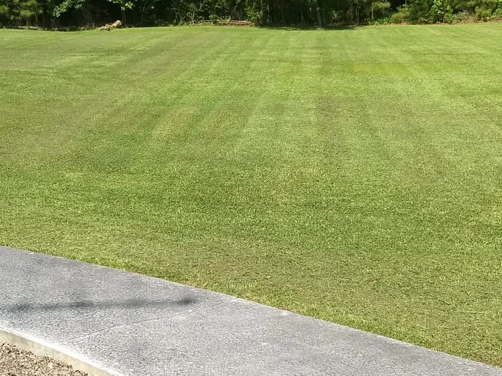 Affordable yard cleanup service experts serving Andrews, SC - Gerry's Lawn Service