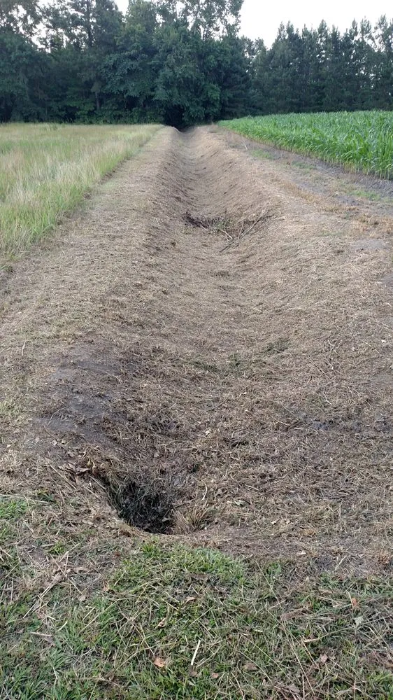 Custom outdoor landscaping in Andrews, SC - Gerry's Lawn Service