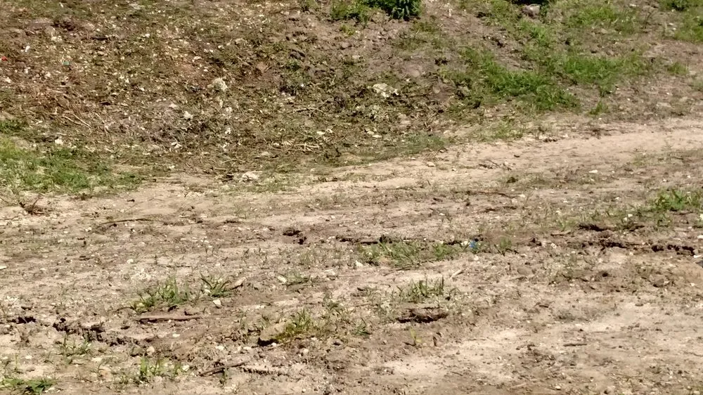 Top-rated garden landscaping in Andrews, SC - Gerry's Lawn Service