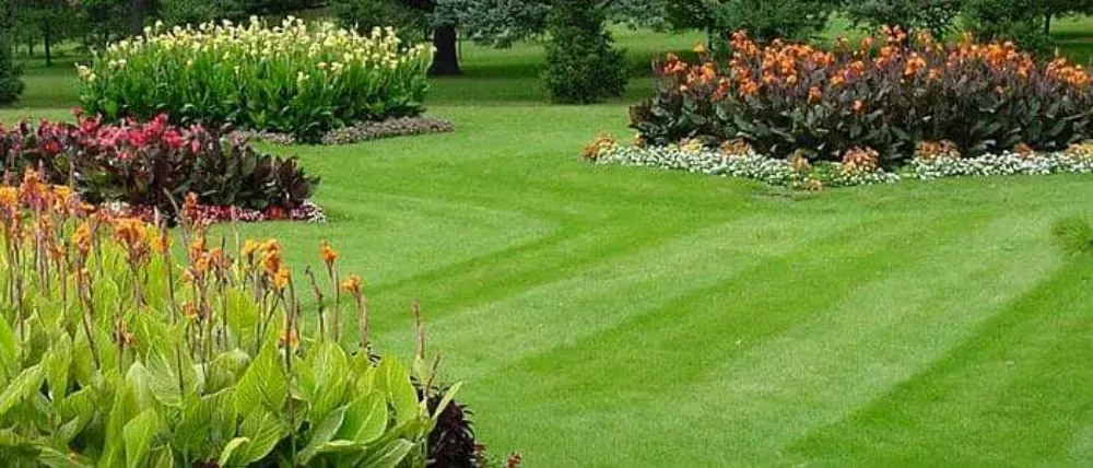 Top-rated lawn care service in Andrews, SC - Gerry's Lawn Service