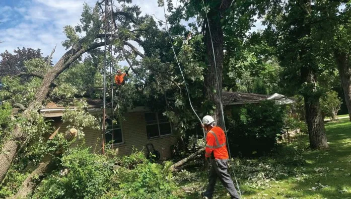 Custom landscape design for outdoor upgrades across Pittsburg, CA - Gerry's