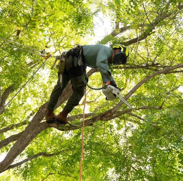 Trusted residential landscaping with custom design in Pittsburg, CA by Gerry's