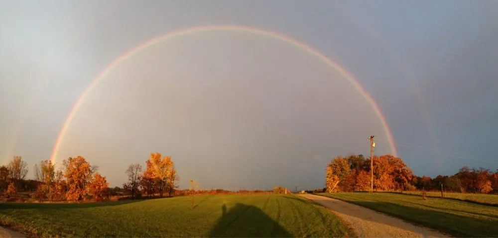 Custom yard maintenance for year-round maintenance in Farmington Hills, MI by Gerry's Prime Cut