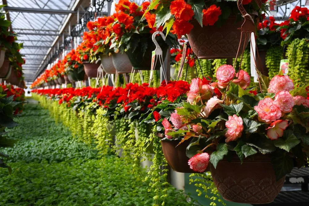 Top-rated lawn care service experts serving Inver Grove Heights, MN - Gertens