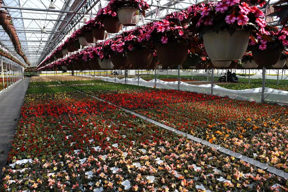 Expert yard maintenance in Inver Grove Heights, MN by Gertens