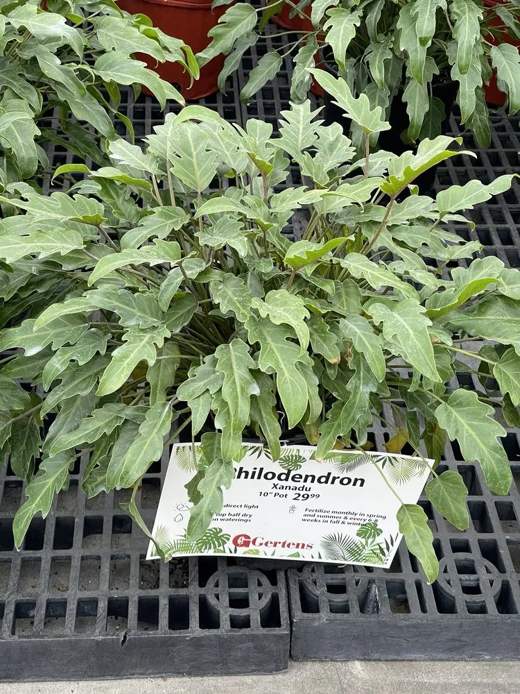 Custom lawn mowing service in Inver Grove Heights, MN - Gertens