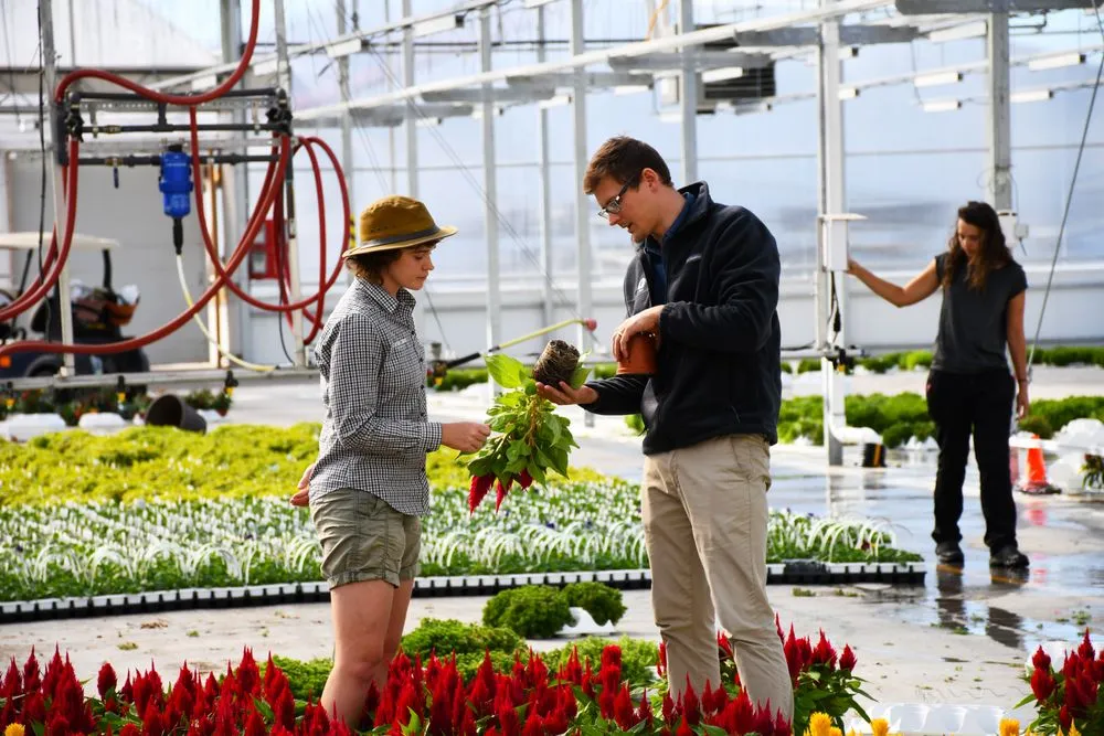 Professional lawn care service in Inver Grove Heights, MN - Gertens