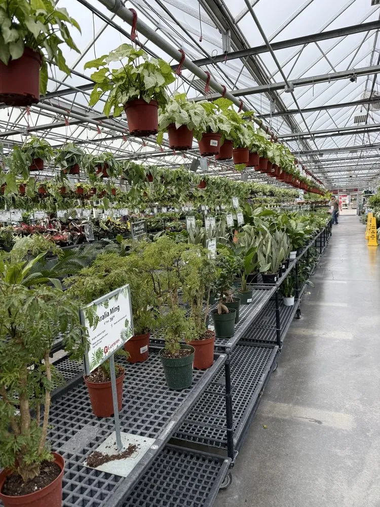 Expert yard maintenance in Inver Grove Heights, MN - Gertens