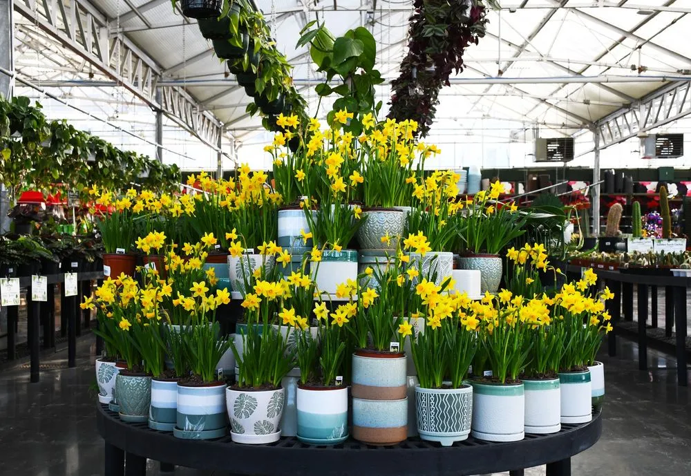 Reliable garden landscaping for residential properties across Inver Grove Heights, MN - Gertens