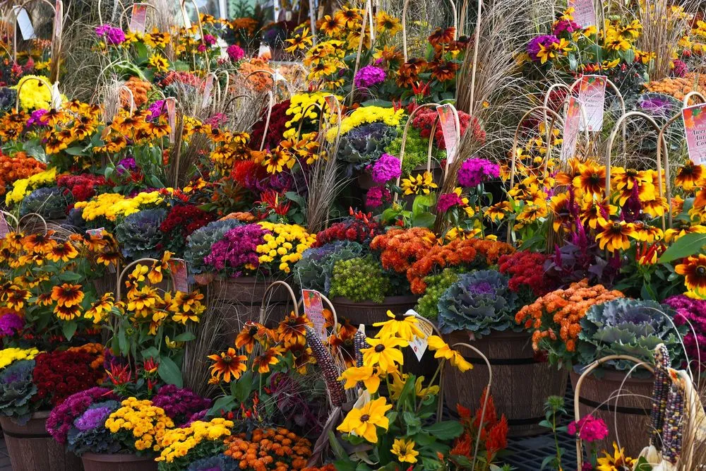 Top-rated landscape installation for homes in Inver Grove Heights, MN by Gertens