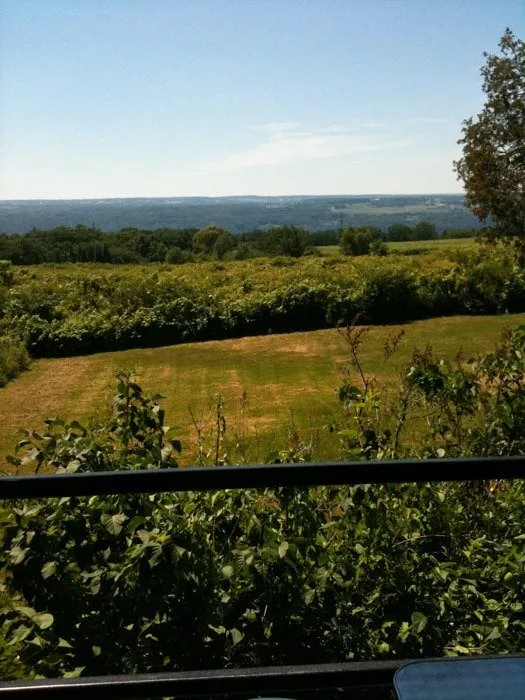 Local lawn care service for outdoor upgrades across Inver Grove Heights, MN - Gertens