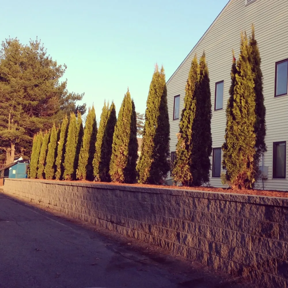 Trusted garden landscaping in Tyngsboro, MA by Gervais Lawn Care