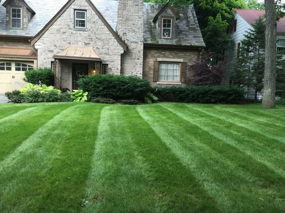 Trusted yard cleanup service with custom design across MONTGOMRY VLG, MD - Gervase Landscaping