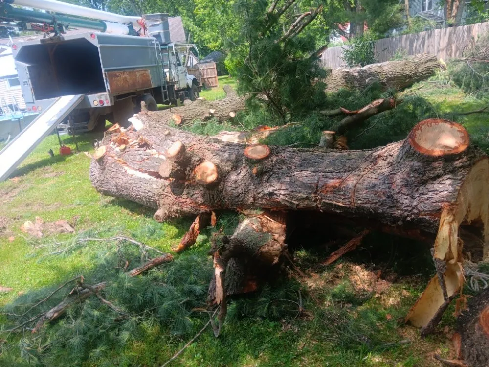 Professional lawn mowing service with custom design across Galesburg, MI - Gesmundos Precision Tree Service