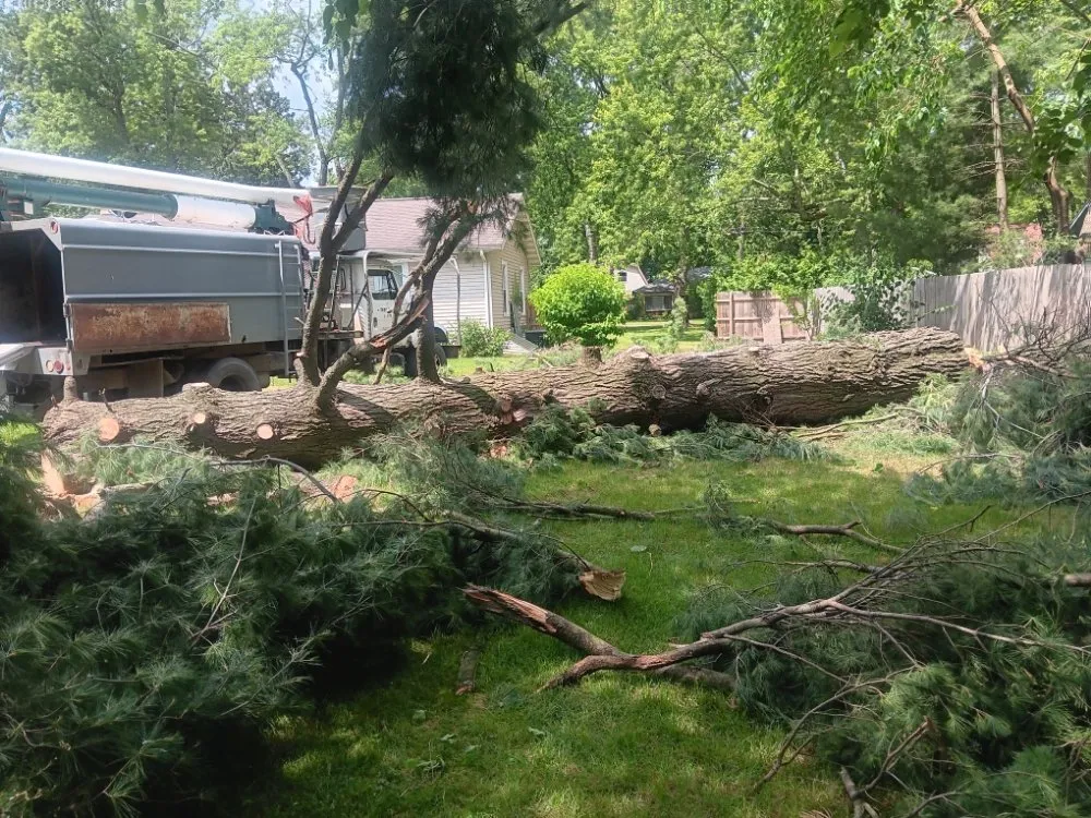 Top-rated outdoor landscaping near you in Galesburg, MI by Gesmundos Precision Tree Service