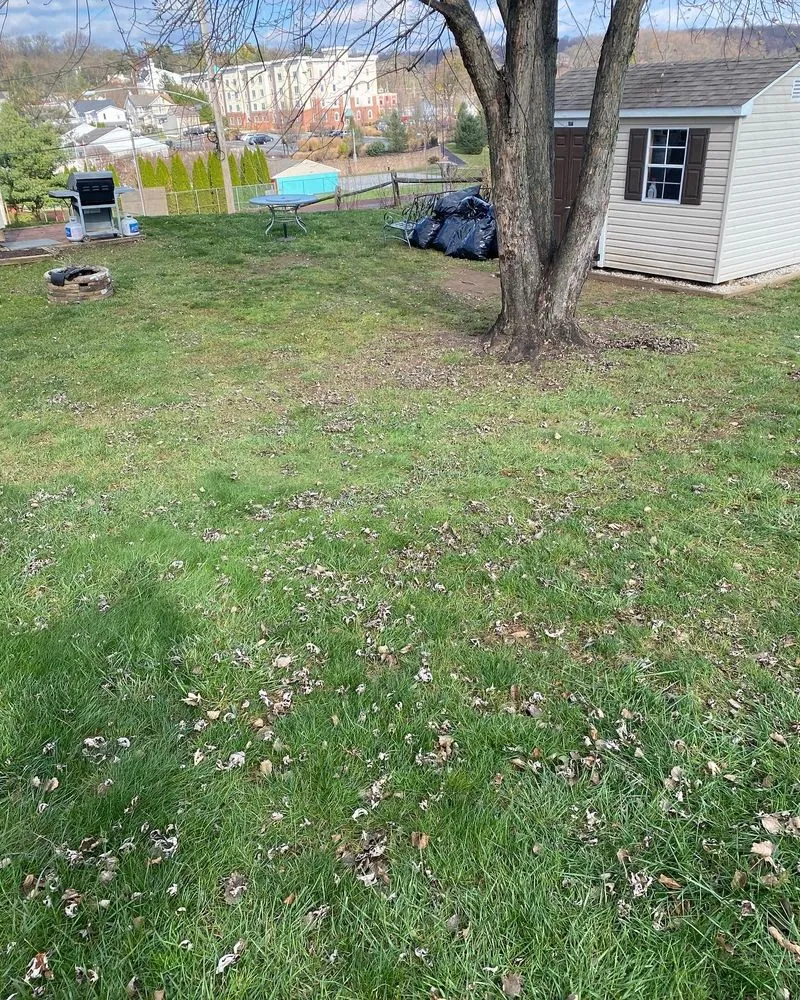 Top-rated residential landscaping in Wilmington, DE - Get Dirty Landscaping