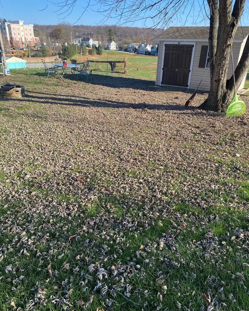 Top-rated landscaping services near you across Wilmington, DE - Get Dirty Landscaping