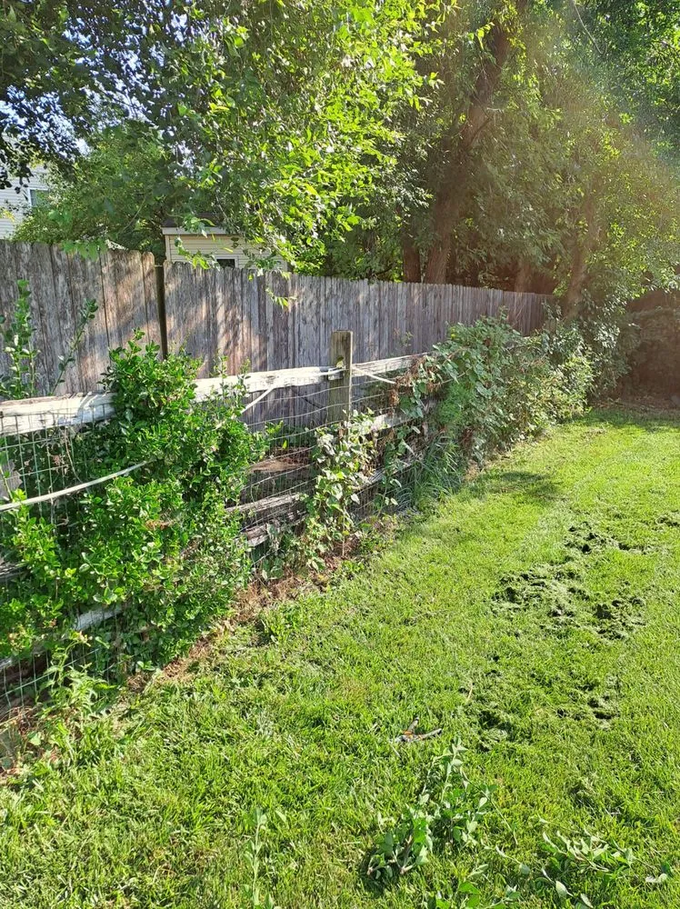 Professional landscaping services in Wilmington, DE - Get Dirty Landscaping