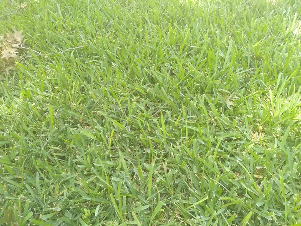 Reliable outdoor landscaping in Abilene, TX - Get Green Lawn King's