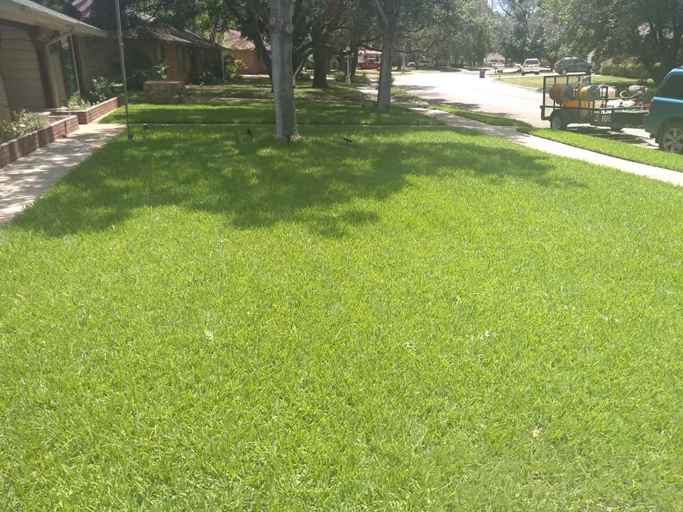 Professional yard maintenance experts serving Abilene, TX - Get Green Lawn King's