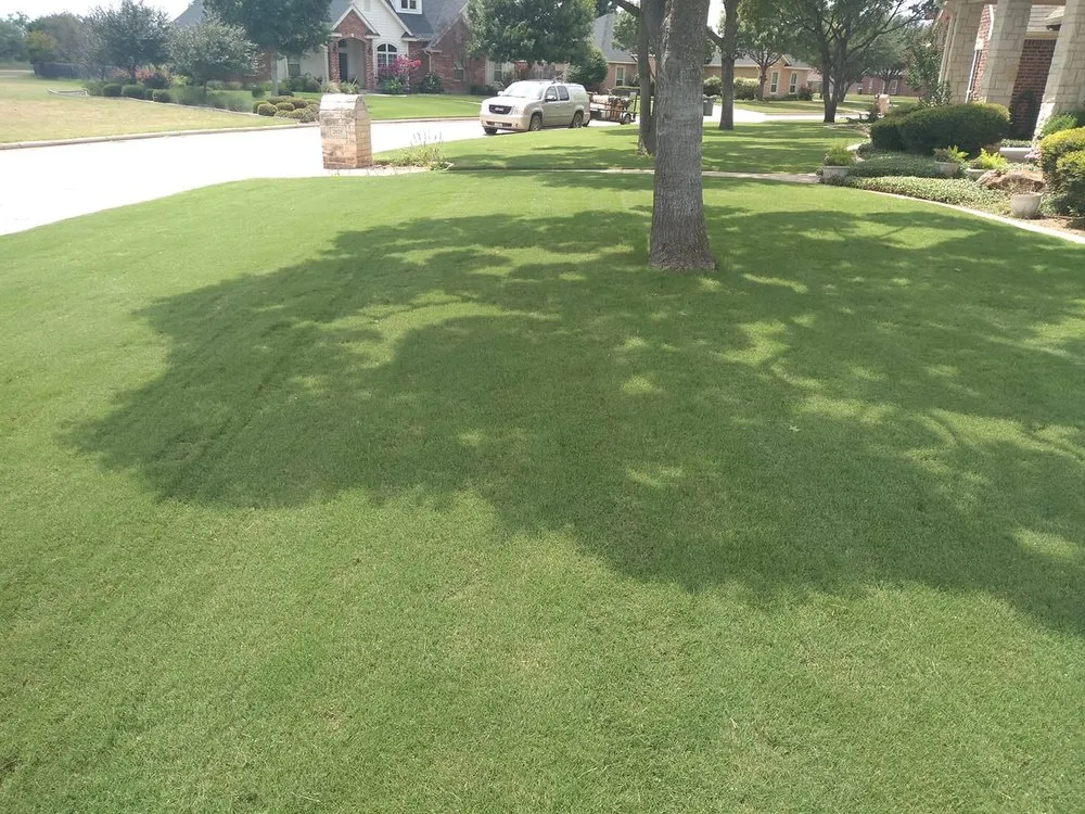Trusted yard maintenance in Abilene, TX - Get Green Lawn King's