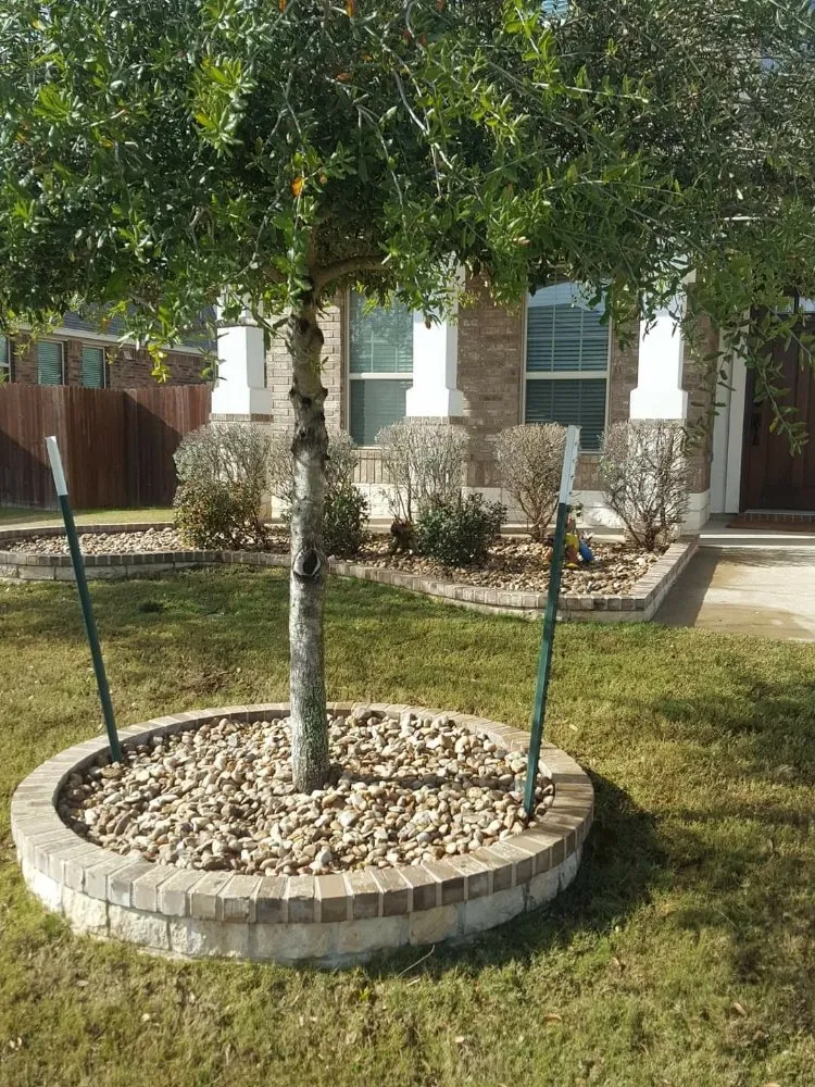 Local landscape design in Canyon Lake, TX by Get Her Done