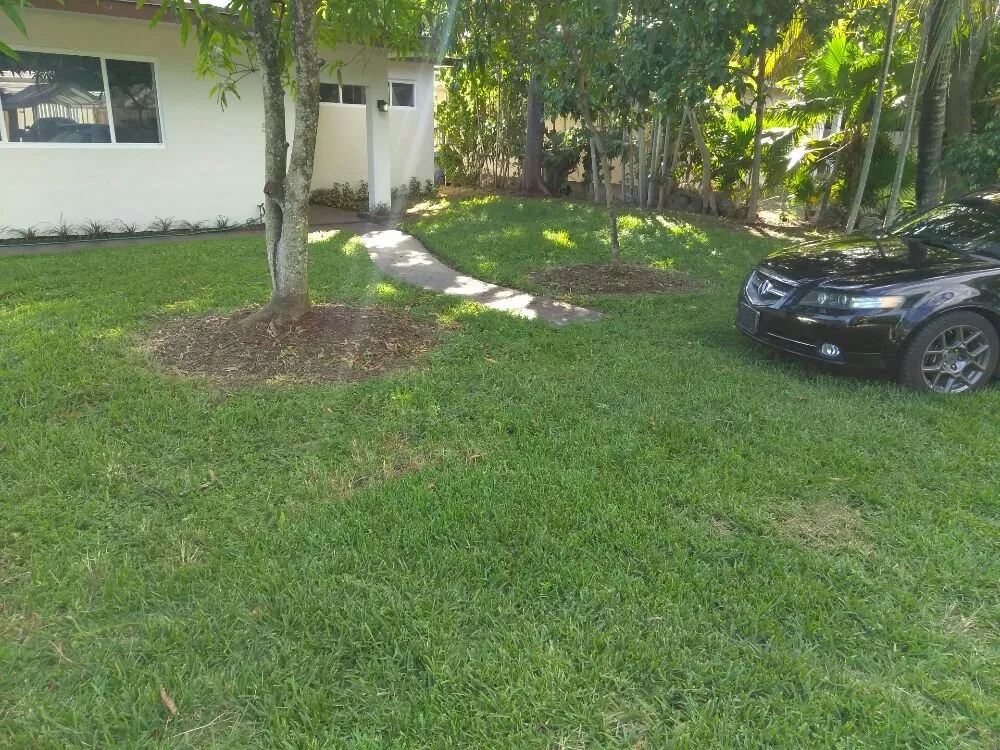 Affordable lawn mowing service for year-round maintenance across North Miami, FL - Get Her Done Lawn Service