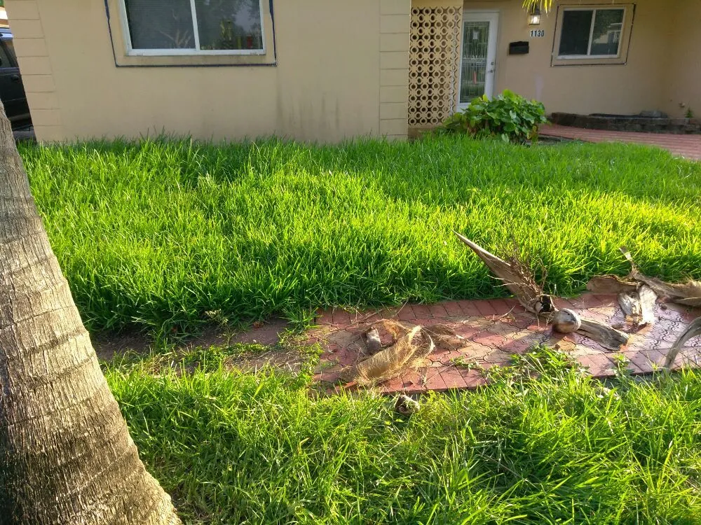 Reliable outdoor landscaping for year-round maintenance across North Miami, FL - Get Her Done Lawn Service