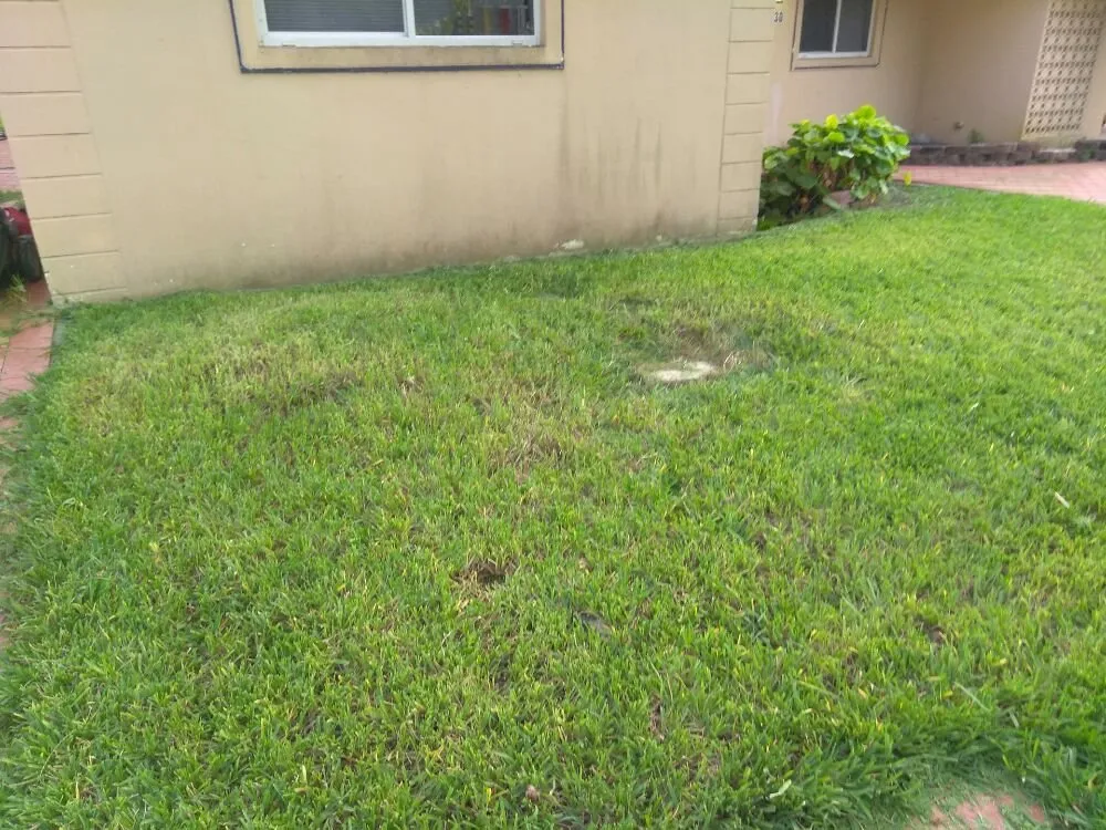 Affordable residential landscaping in North Miami, FL by Get Her Done Lawn Service