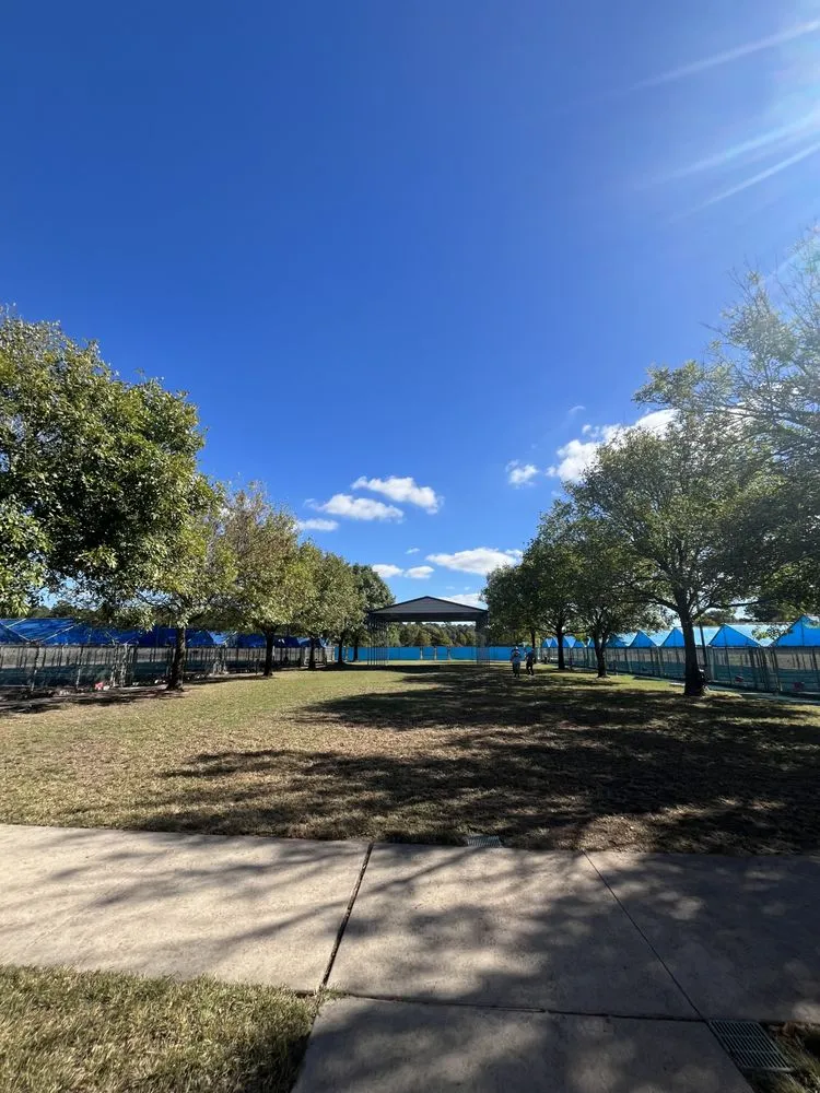 Affordable outdoor landscaping near you across Houston, TX - Get Her Done Tx Tree Services