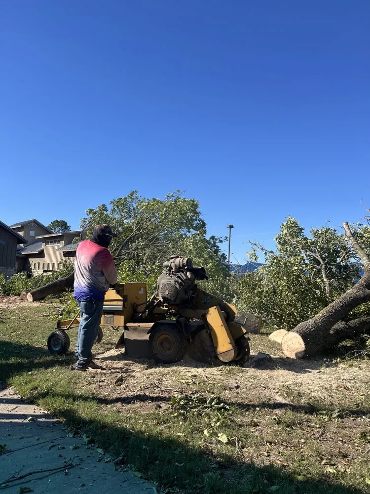 Affordable lawn mowing service in Houston, TX by Get Her Done Tx Tree Services