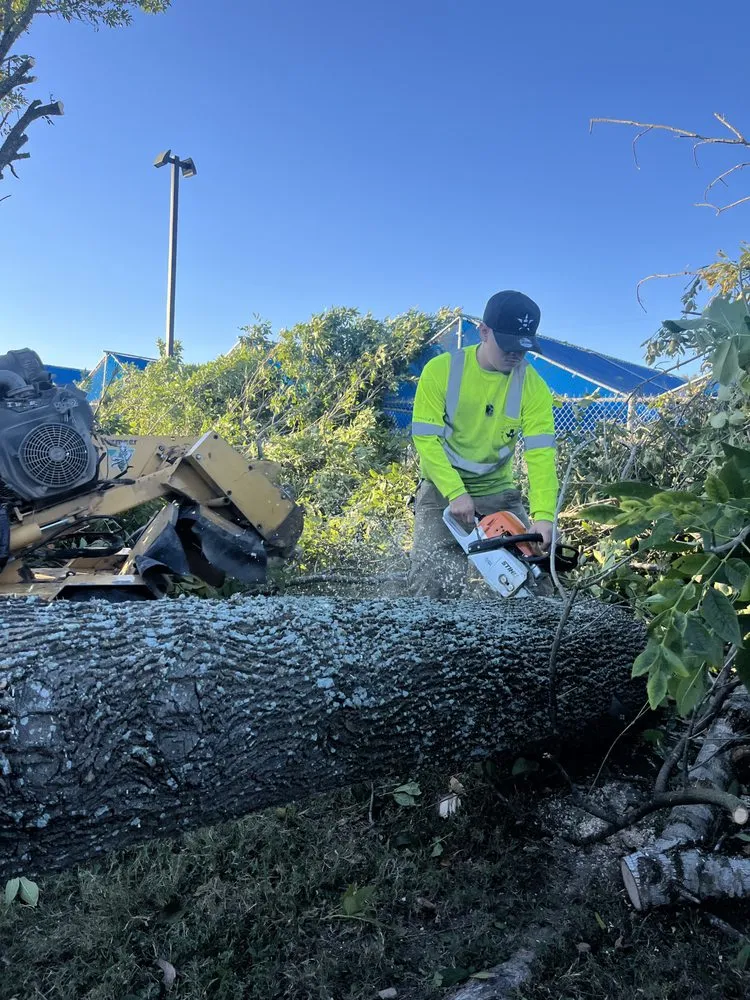 Professional yard cleanup service in Houston, TX by Get Her Done Tx Tree Services