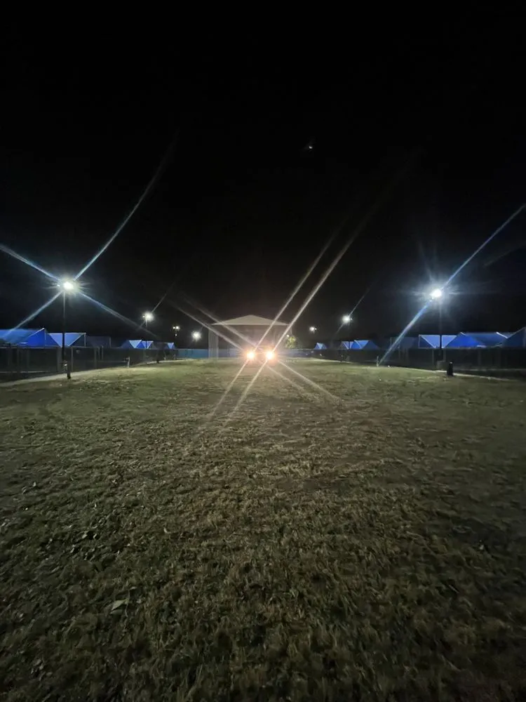 Expert yard maintenance near you in Houston, TX by Get Her Done Tx Tree Services