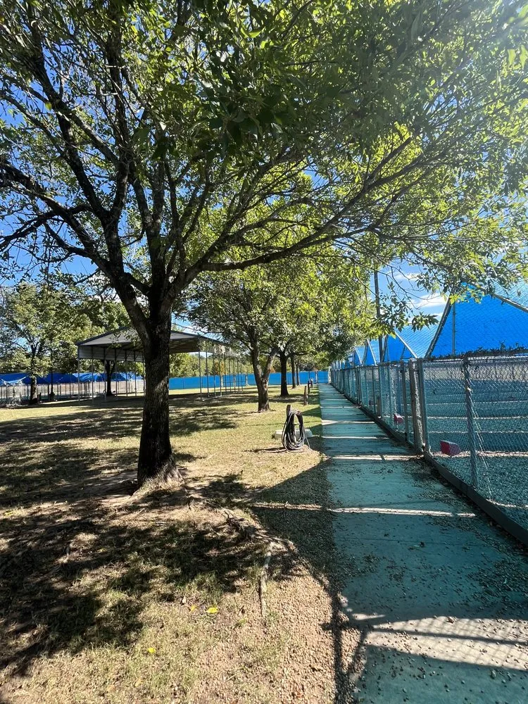 Affordable lawn mowing service in Houston, TX by Get Her Done Tx Tree Services