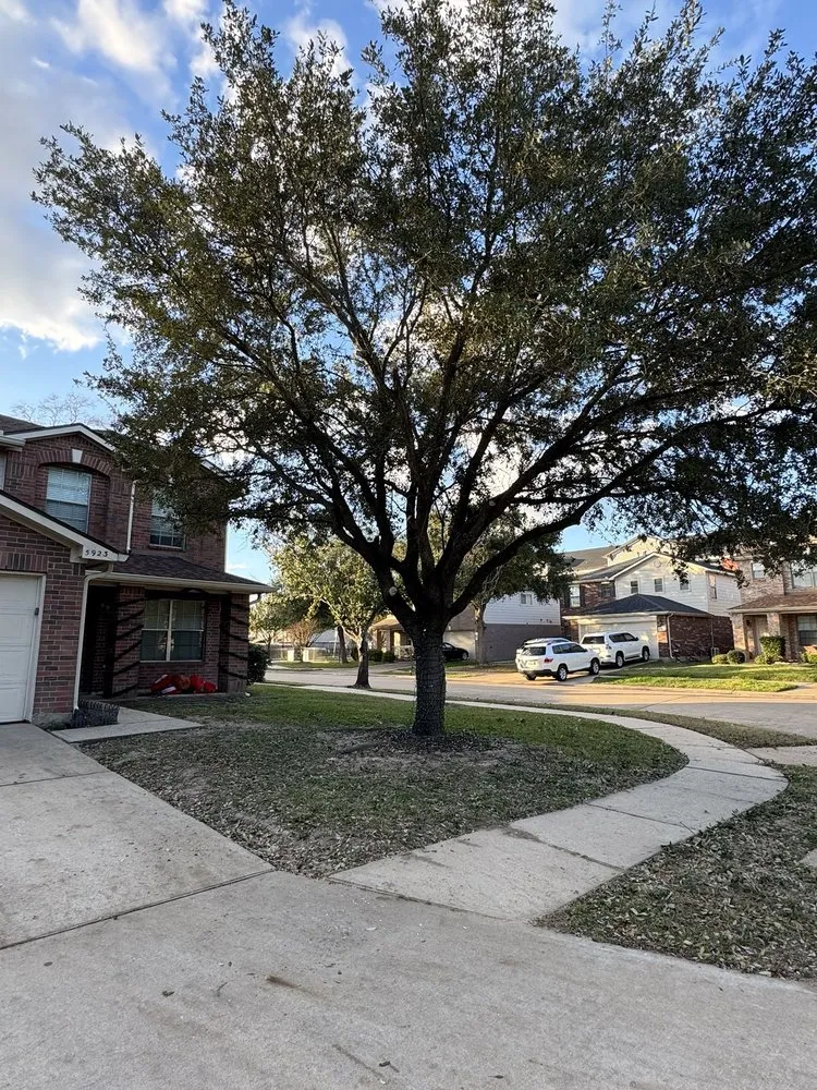 Local garden landscaping in Houston, TX - Get Her Done Tx Tree Services