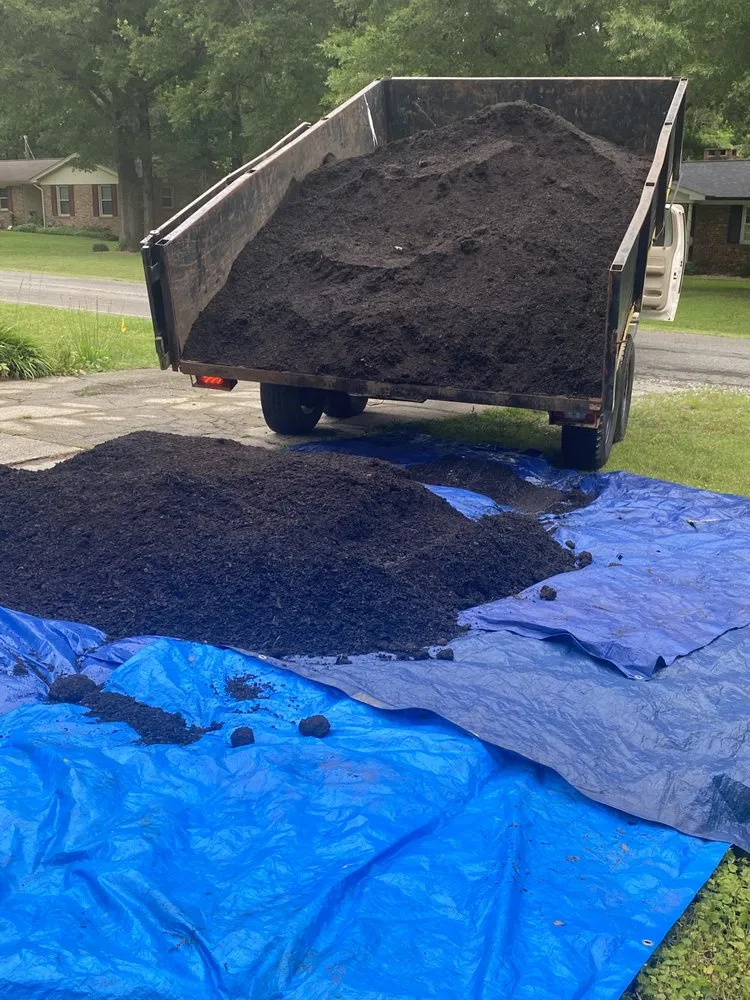 Professional landscaping services in Fayetteville, NC - Get In Get Out