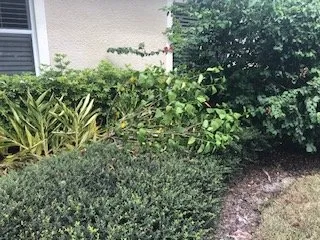 Professional landscaping services with custom design in Naples, FL by Get It Cleaned