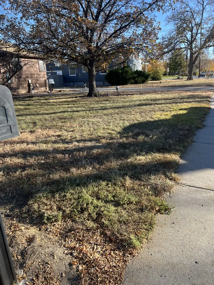 Reliable yard maintenance in Scottsbluff, NE - Get It Done General