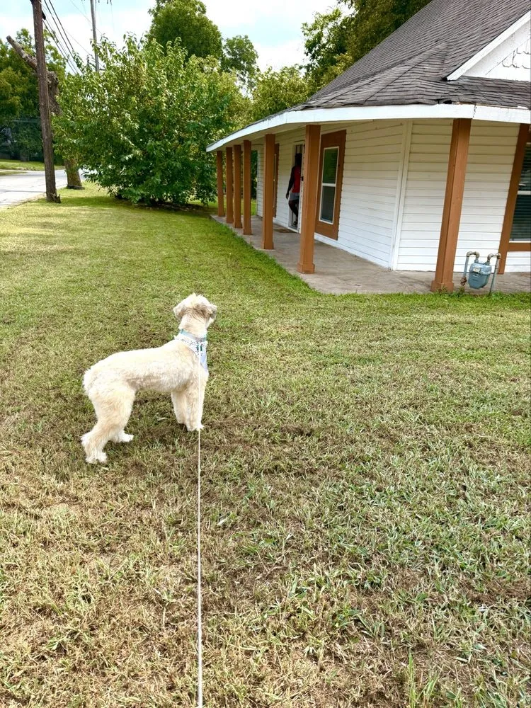 Top-rated landscaping services for year-round maintenance in Anna, TX by Get It Done Landscaping & Design