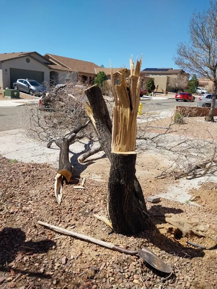 Professional garden landscaping with custom design across Albuquerque, NM - Get It Done Landscaping