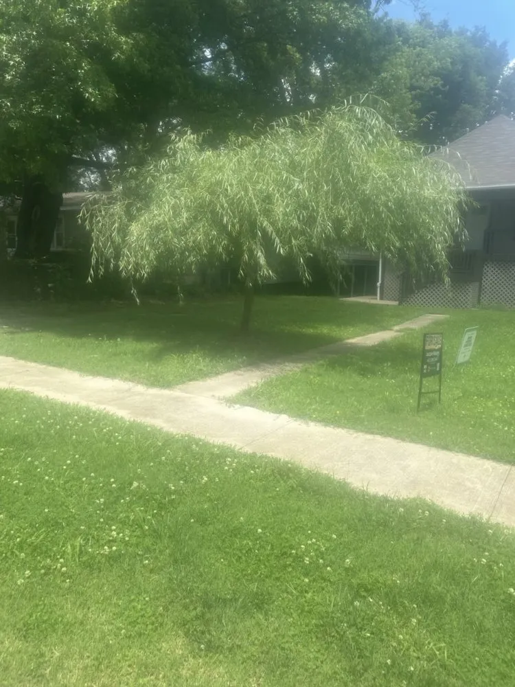 Expert yard cleanup service for homes in Marshfield, MO by Get It Done Lawncare
