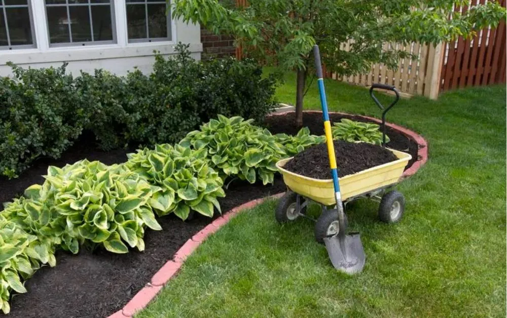 Affordable landscape design in Sumter, SC by Get It Done Number 1 Services