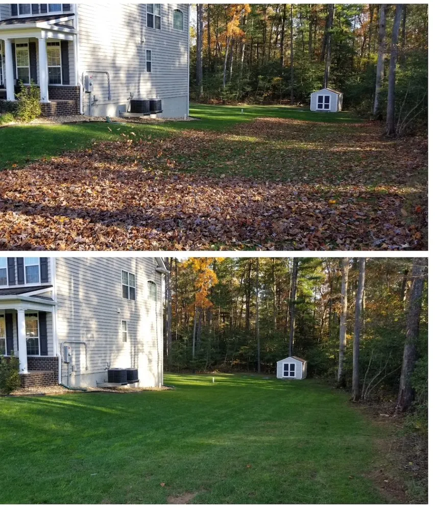 Professional yard cleanup service in Sumter, SC - Get It Done Number 1 Services