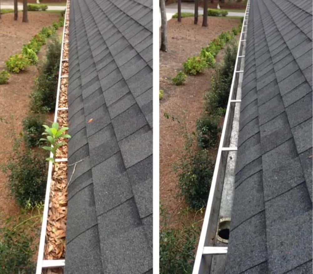 Trusted lawn care service experts serving Sumter, SC - Get It Done Number 1 Services